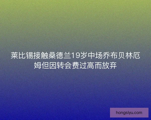 莱比锡接触桑德兰19岁中场乔布贝林厄姆但因转会费过高而放弃