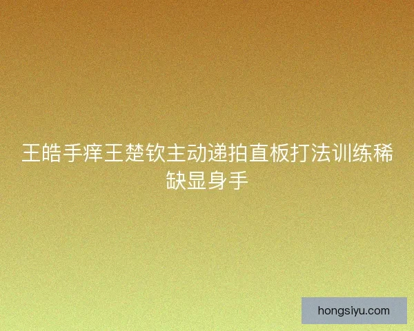 王皓手痒王楚钦主动递拍直板打法训练稀缺显身手
